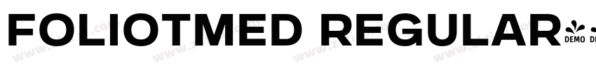 FolioTMed Regular字体转换
